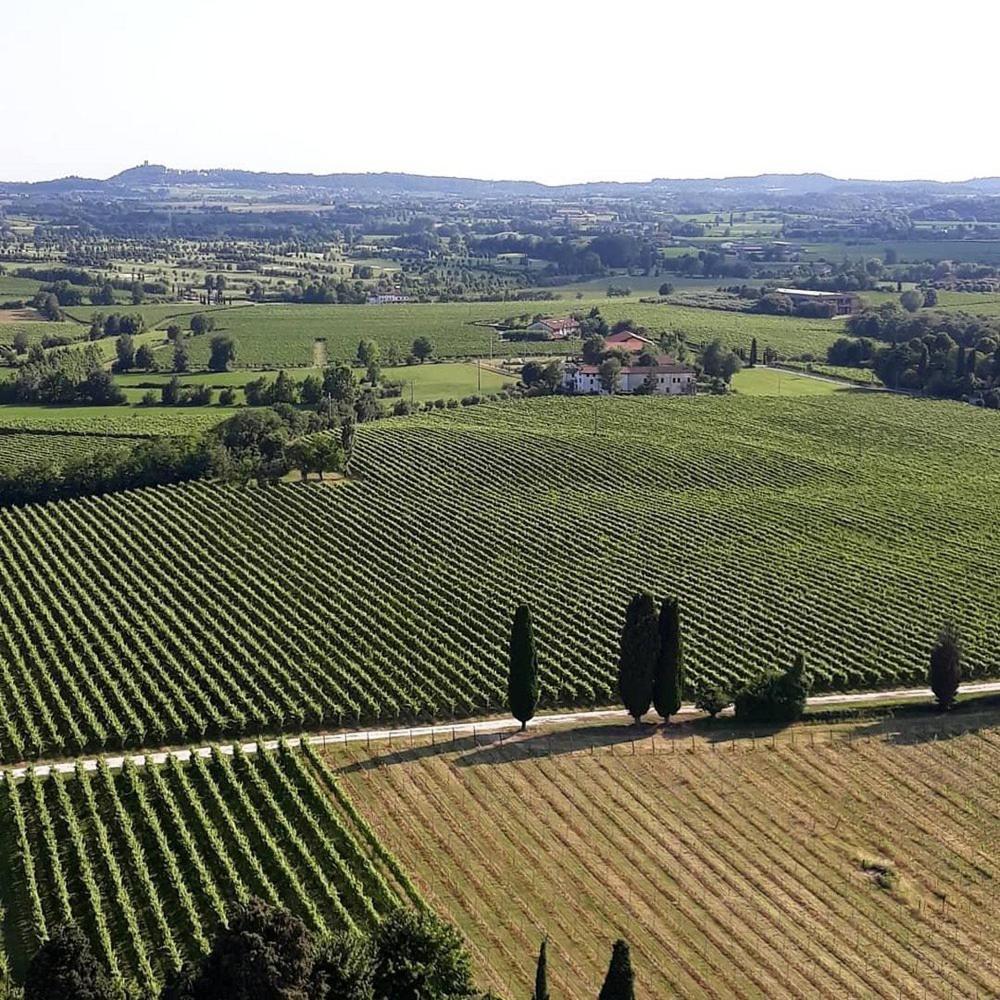 Albergo Quatro Pini Pozzolengo Bagian luar foto